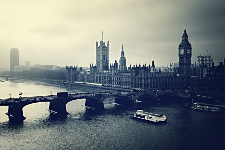 purplelavender洗護(hù)品牌加盟費(fèi)多少錢(qián)