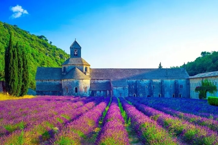 高端洗護(hù)品牌，加盟沛得共創(chuàng)輝煌