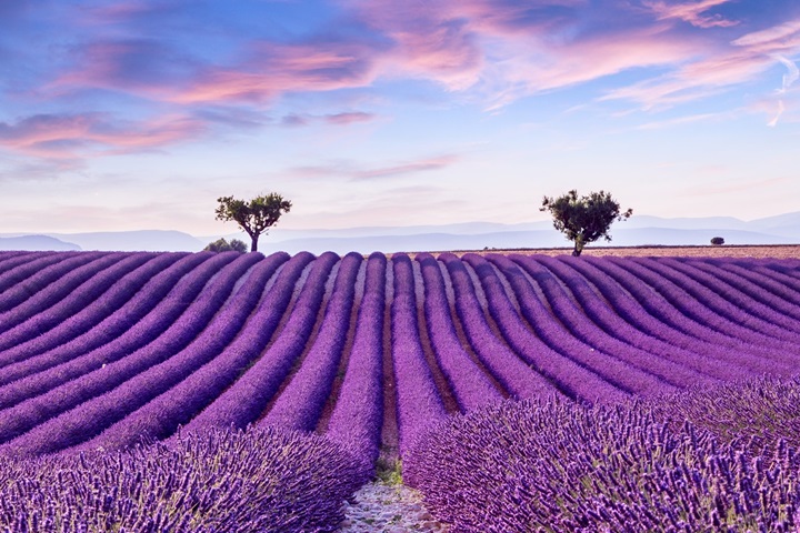 男士控油新選擇，沛得洗護品牌，加盟共享行業商機